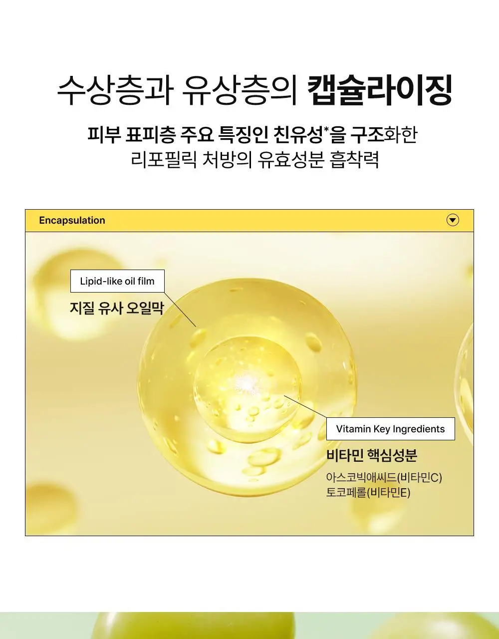 [잡티미백/톤업]비건이펙트 비타씨 글루타치온 미스트 100ml 상세페이지 11
